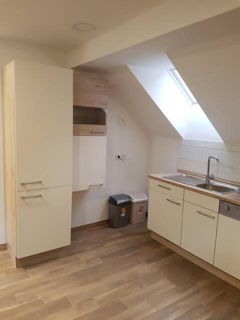 Apartmaji Zupan Bohinjska Bela Bagian luar foto