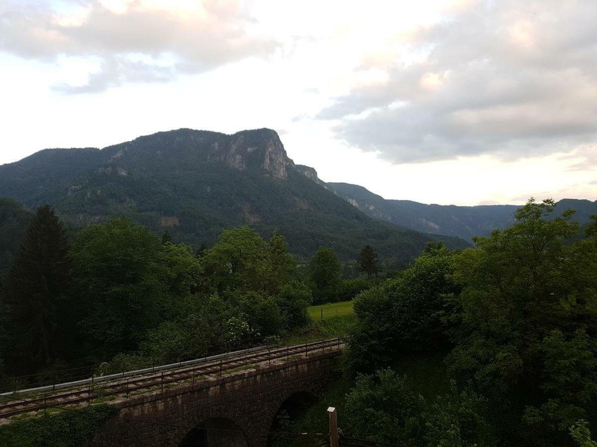 Apartmaji Zupan Bohinjska Bela Bagian luar foto